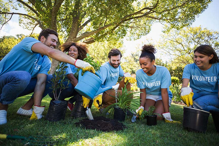 group of volunteer planting 2021 08 28 17 20 48 utc 1.jpg